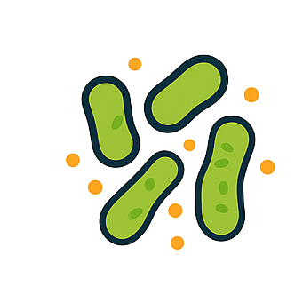 Ícono de Lactobacillus